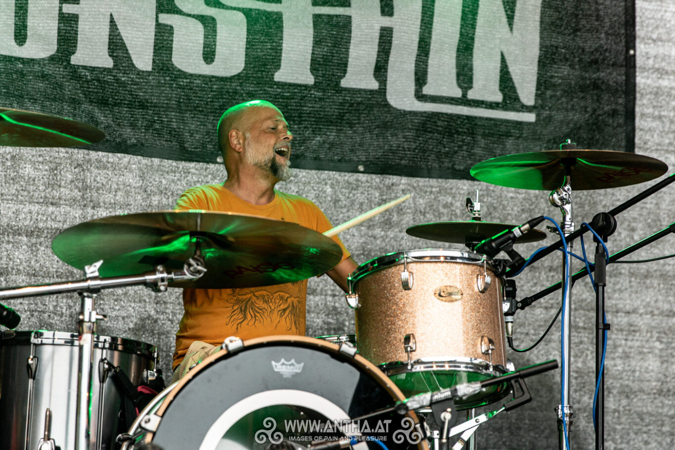 FESTIVAL SUMMER / FINAL SHOWS WITH WALT